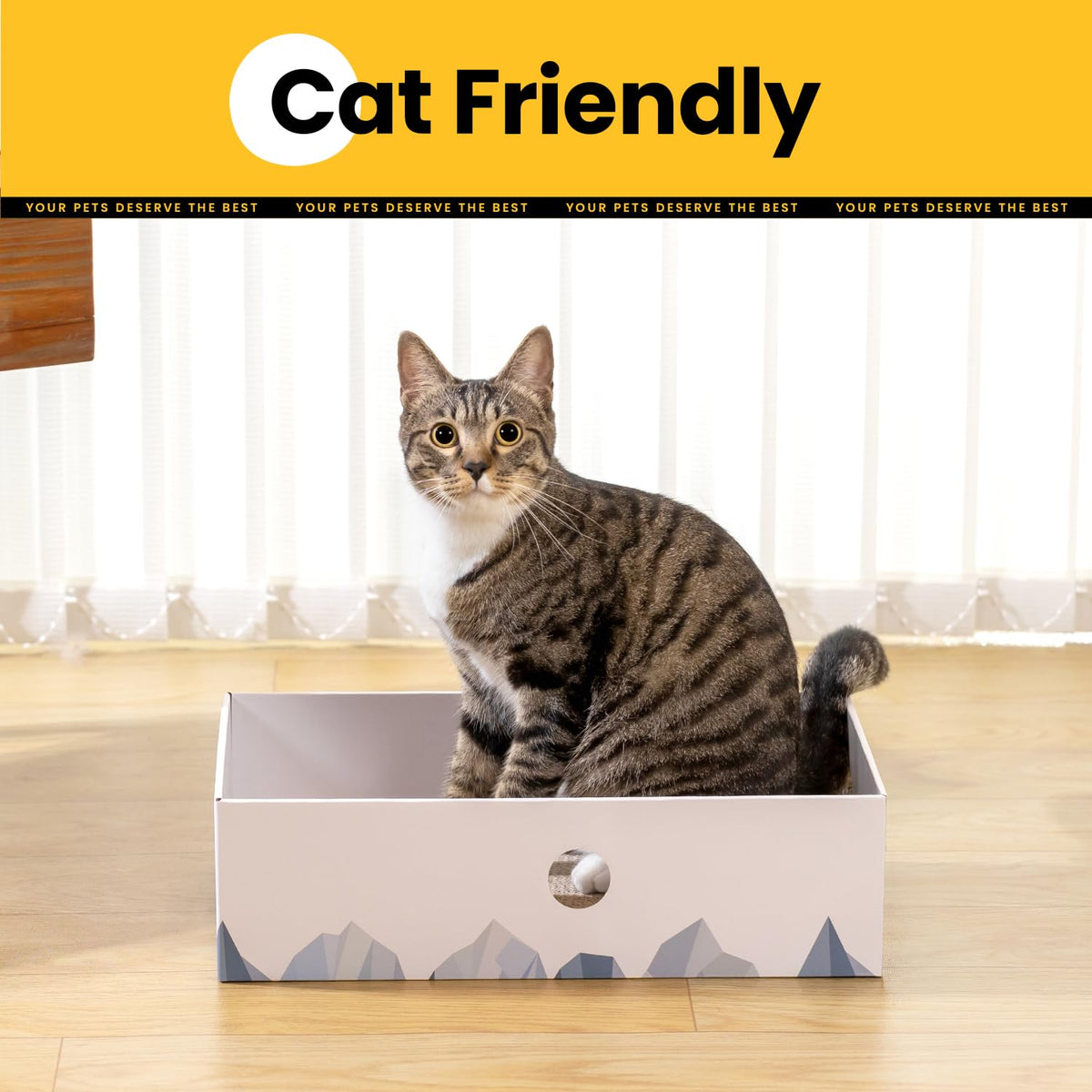 Cat Scratcher Lounge Box with Refill Pad – Chessboard