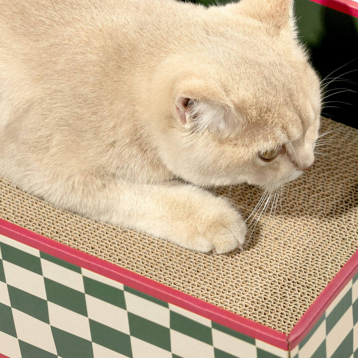 Cat Scratcher Lounge Box with Refill Pad – Christmas Checkered