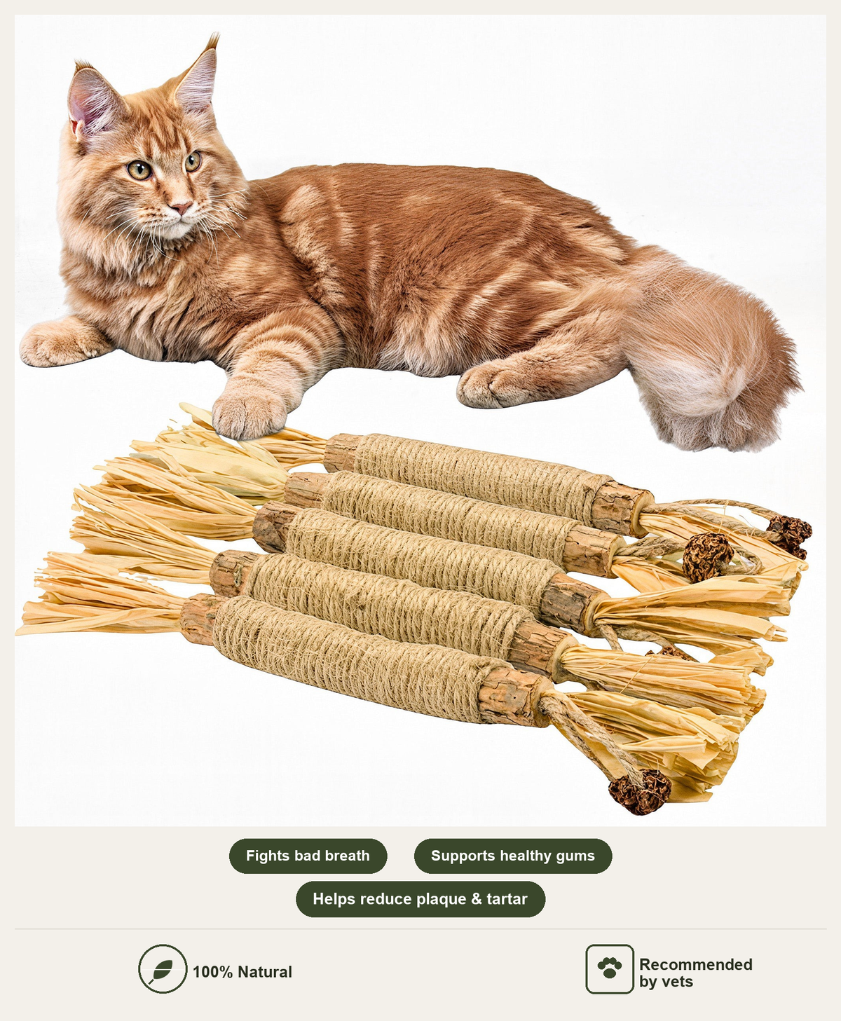 Natural silvervine cat dental sticks with cat — fights bad breath, supports healthy gums, helps reduce plaque and tartar, 100% natural, recommended by vets