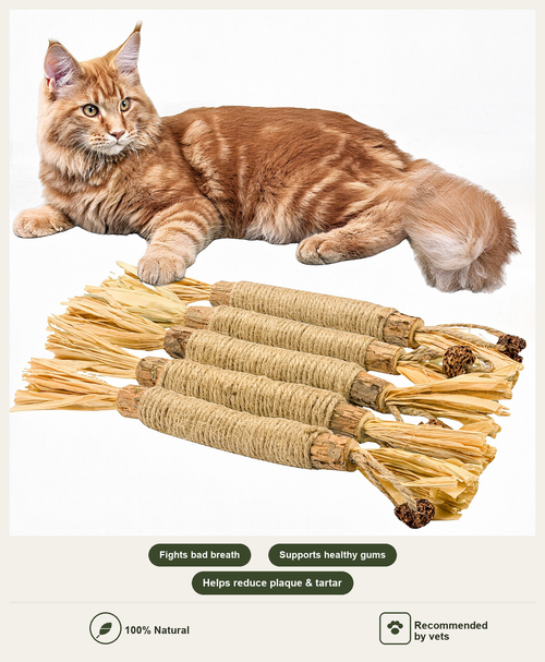Natural silvervine cat dental sticks with cat — fights bad breath, supports healthy gums, helps reduce plaque and tartar, 100% natural, recommended by vets