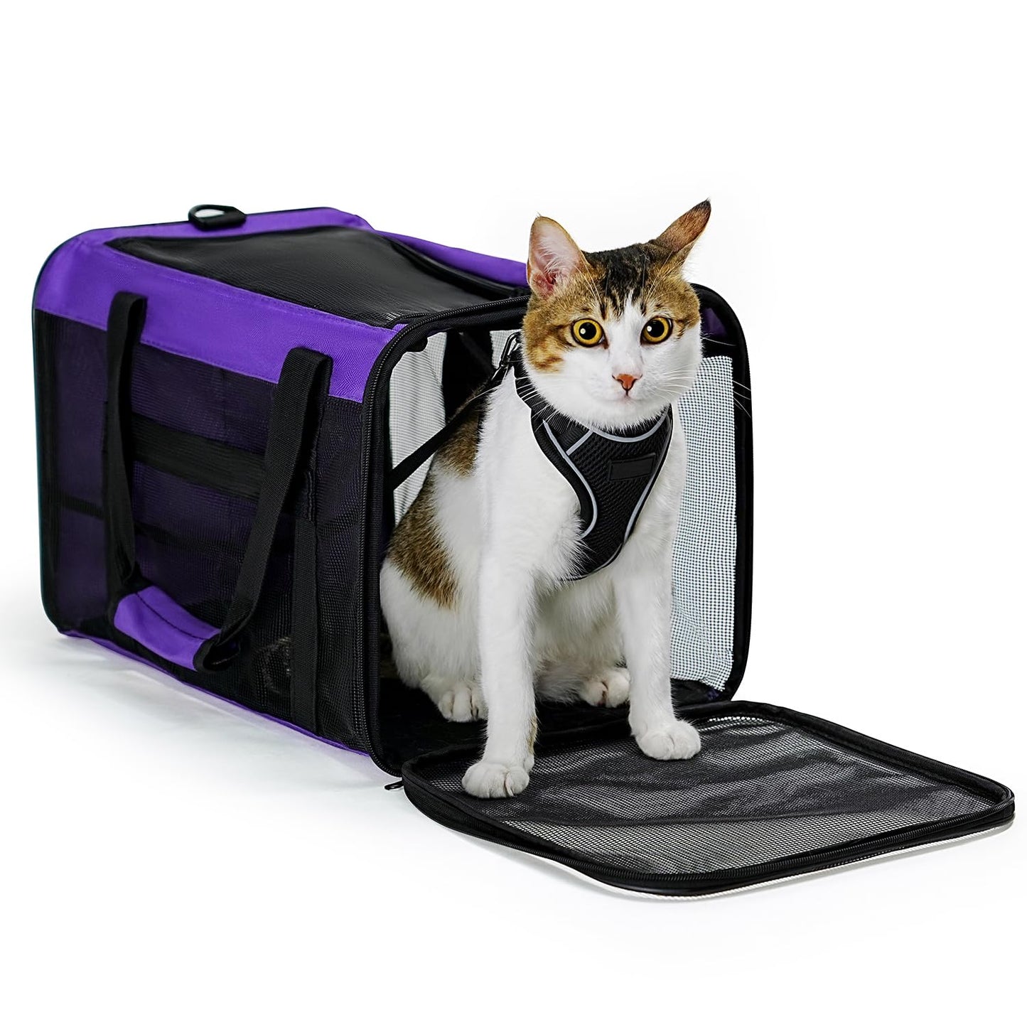 Collapsible Soft-Sided Pet Carrier – Cat & Small Dog