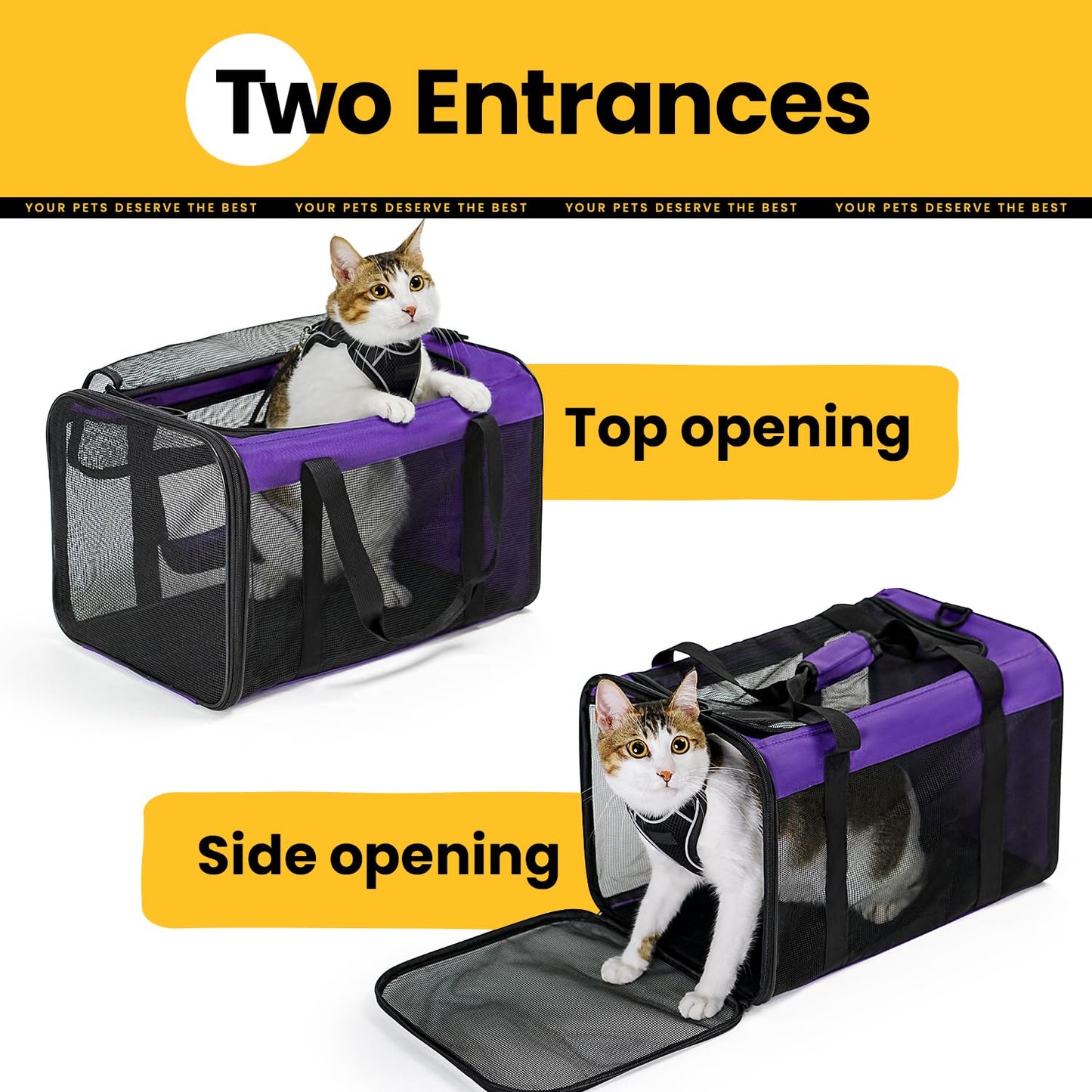Collapsible Soft-Sided Pet Carrier – Cat & Small Dog