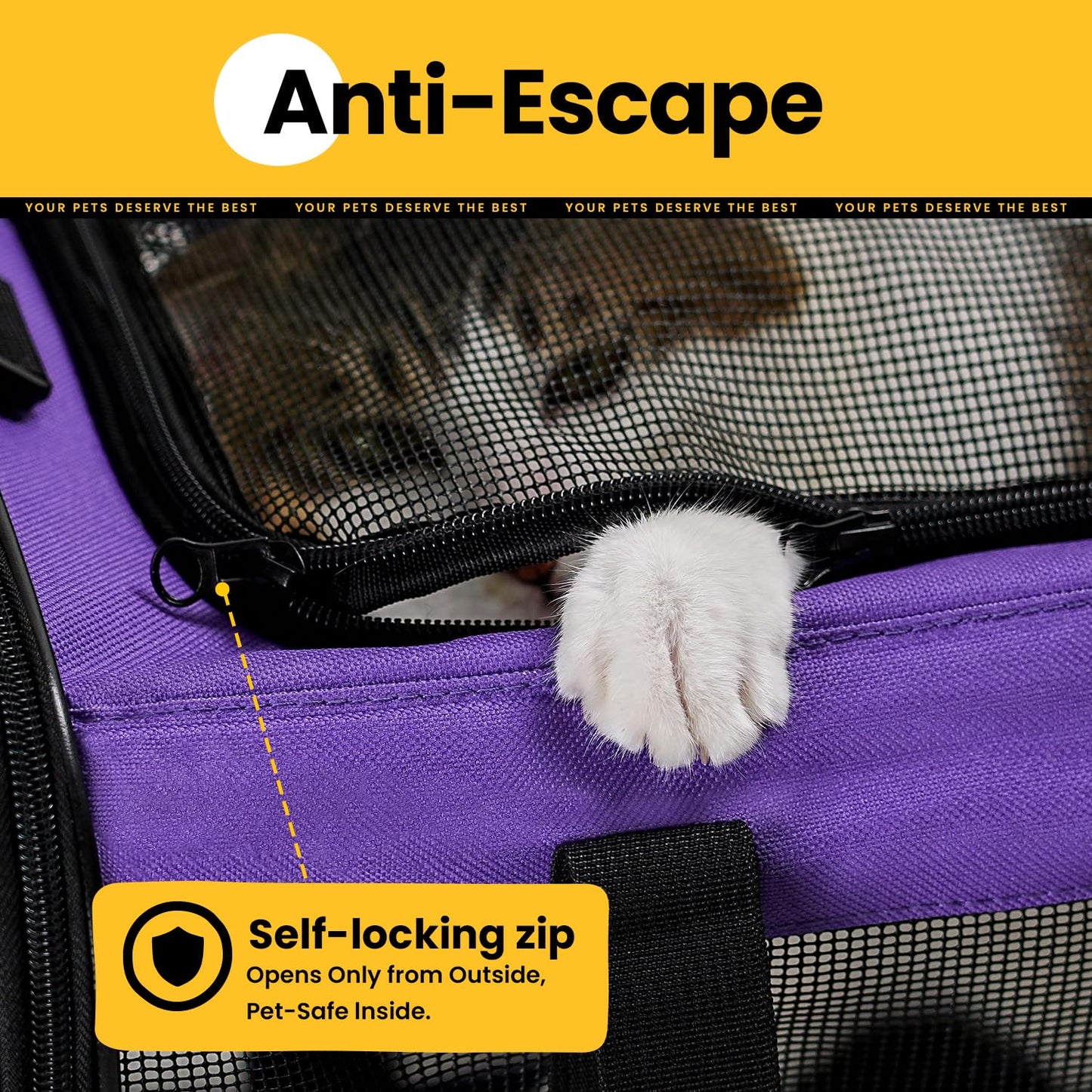 Collapsible Soft-Sided Pet Carrier – Cat & Small Dog