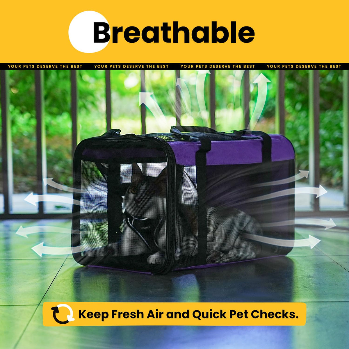 Collapsible Soft-Sided Pet Carrier – Cat & Small Dog