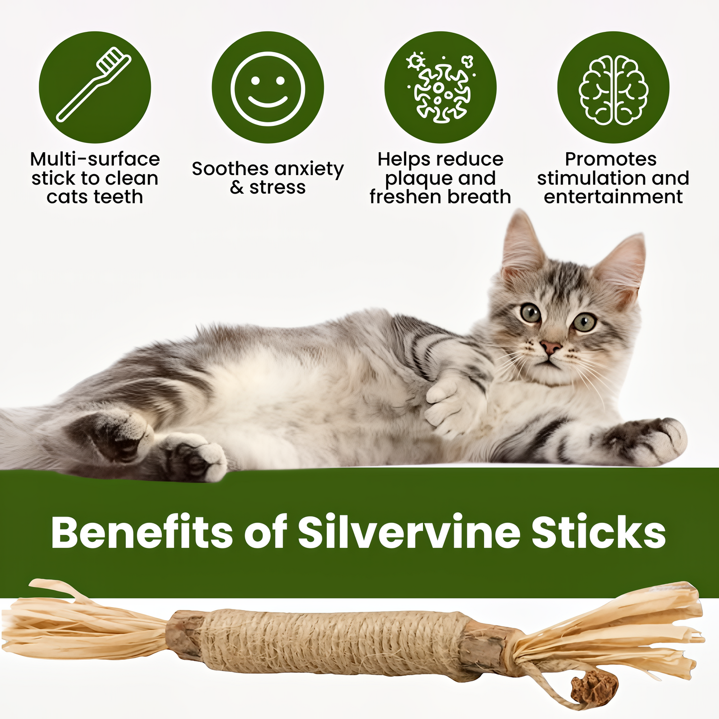 Natural Silvervine Cat Dental Sticks – Teeth Cleaning Chews | Starter, Monthly & Complete Kits