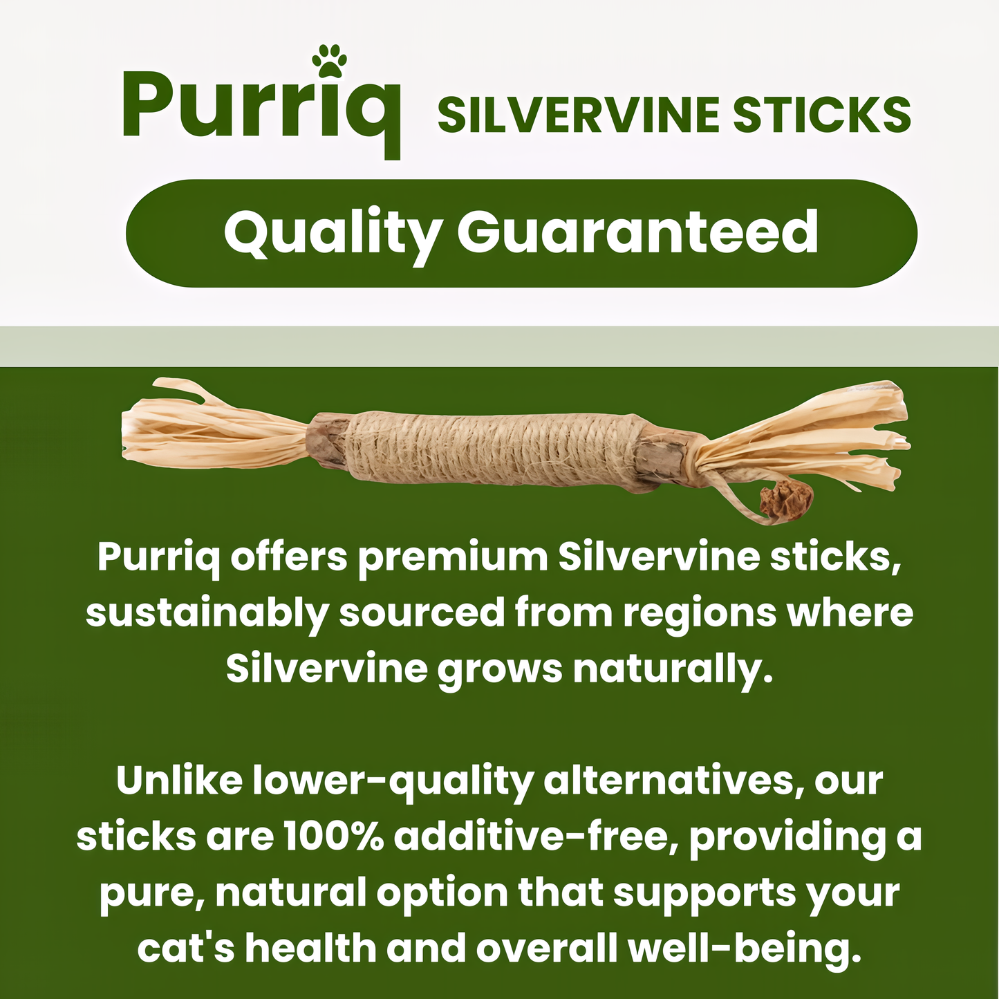 Natural Silvervine Cat Dental Sticks – Teeth Cleaning Chews | Starter, Monthly & Complete Kits