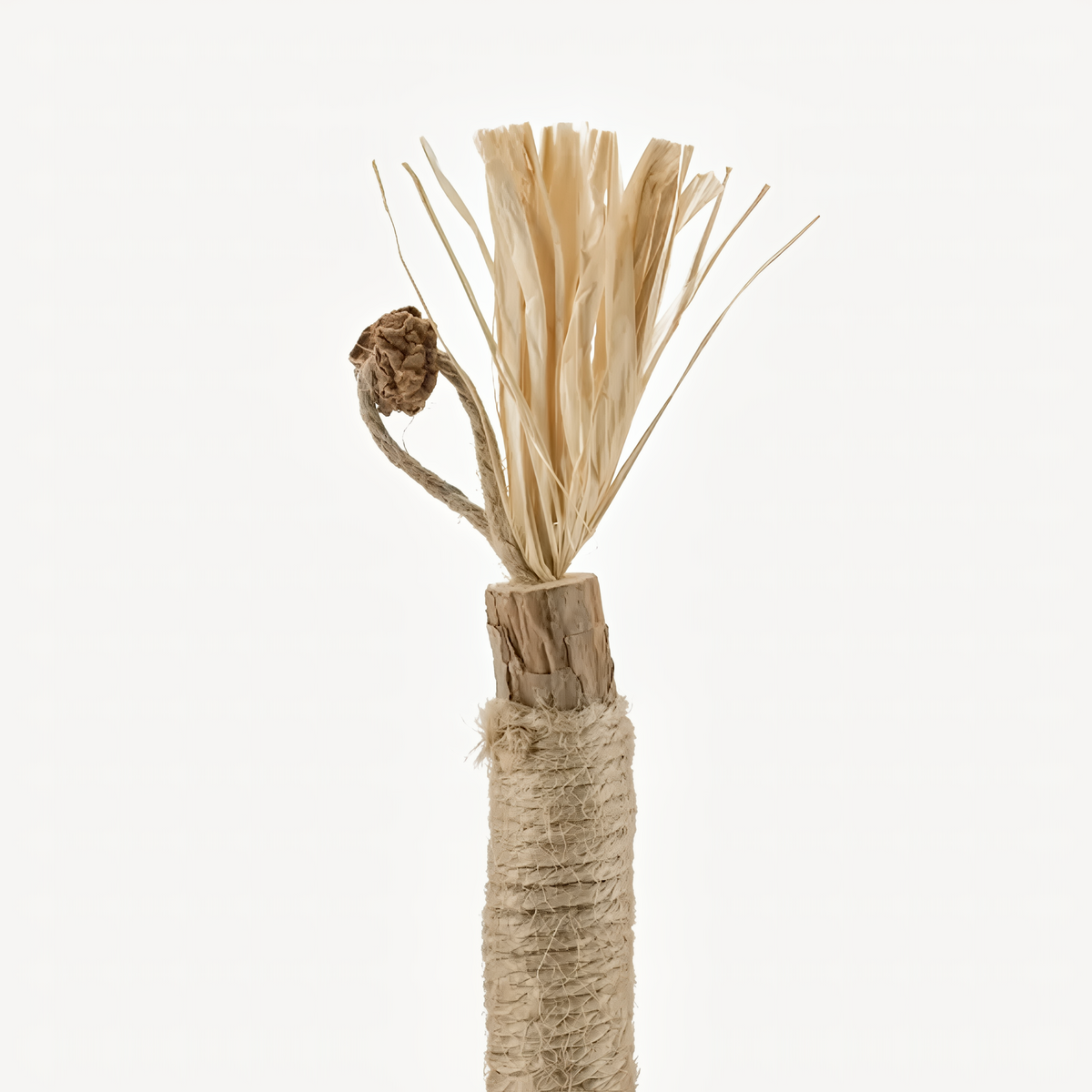Natural Silvervine Cat Dental Sticks – Teeth Cleaning Chews | Starter, Monthly & Complete Kits