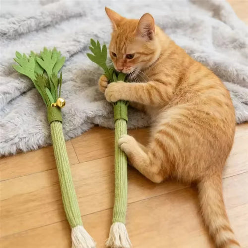 Silicone Catnip Dental Chew Toy for Cats