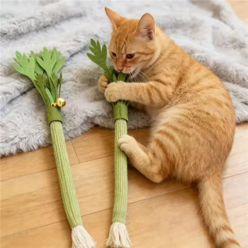Silicone Catnip Dental Chew Toy included in the kit