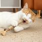 Natural Silvervine Cat Dental Sticks – Teeth Cleaning Chews | Starter, Monthly & Complete Kits