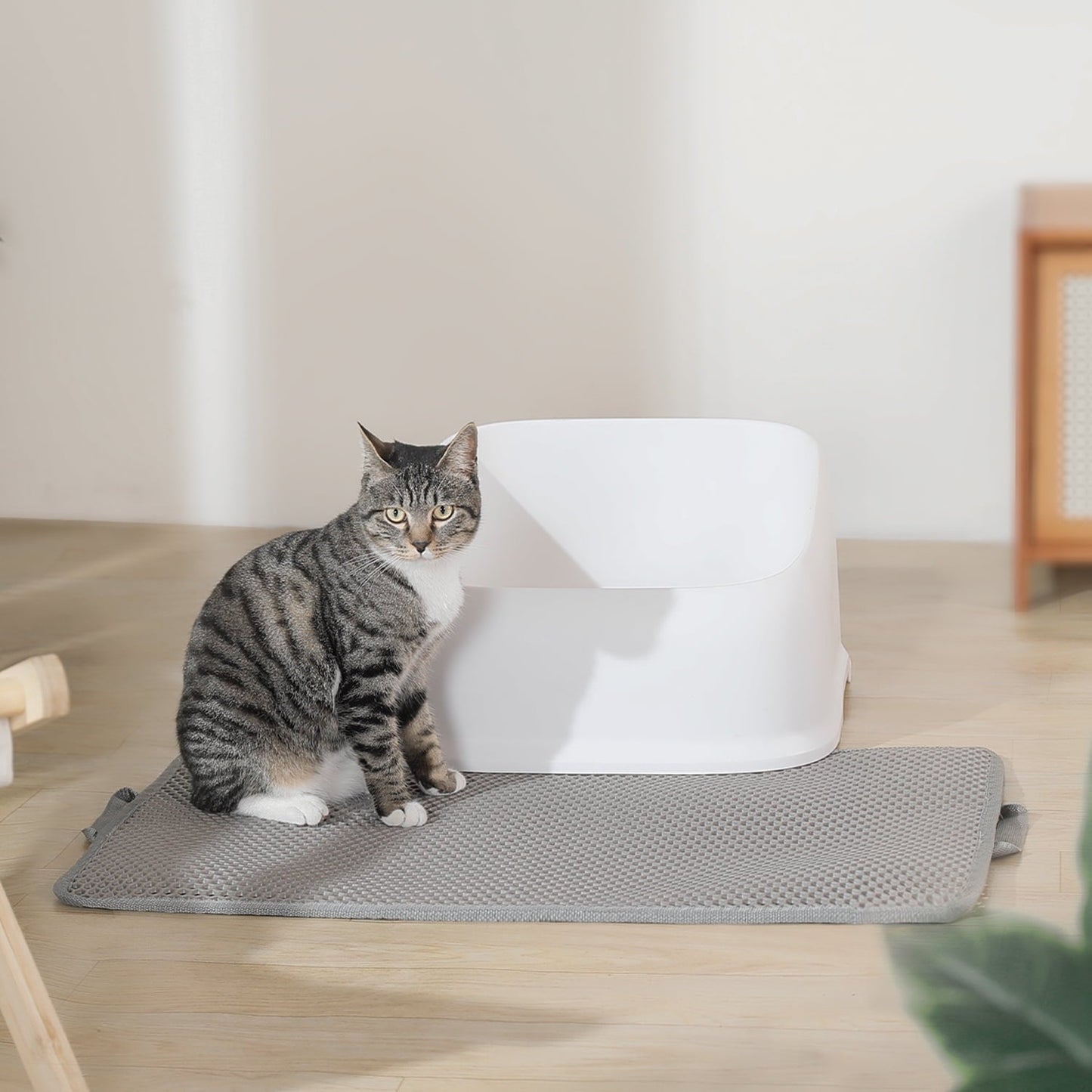 Honeycomb Double-Layer Cat Litter Trapping Mat – 30" x 22"