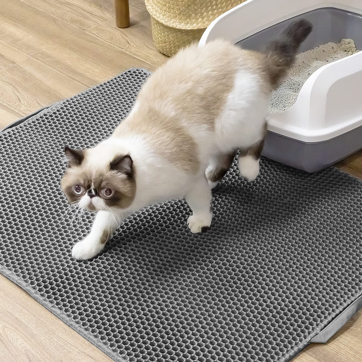 EVA Honeycomb Cat Litter Trapping Mat – Jumbo, 34" x 26"
