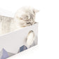 Cat Scratcher Lounge Box with Refill Pad – White