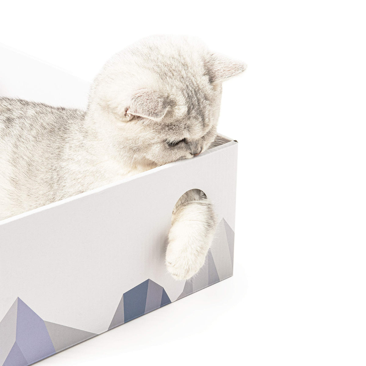 Cat Scratcher Lounge Box with Refill Pad – White
