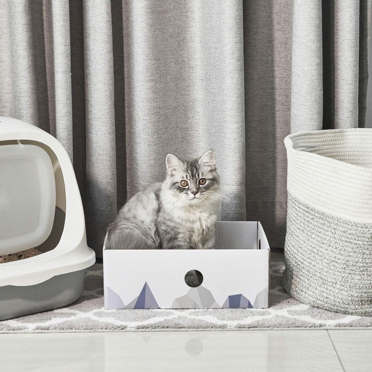 Cat Scratcher Lounge Box with Refill Pad – White