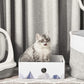 Cat Scratcher Lounge Box with Refill Pad – White