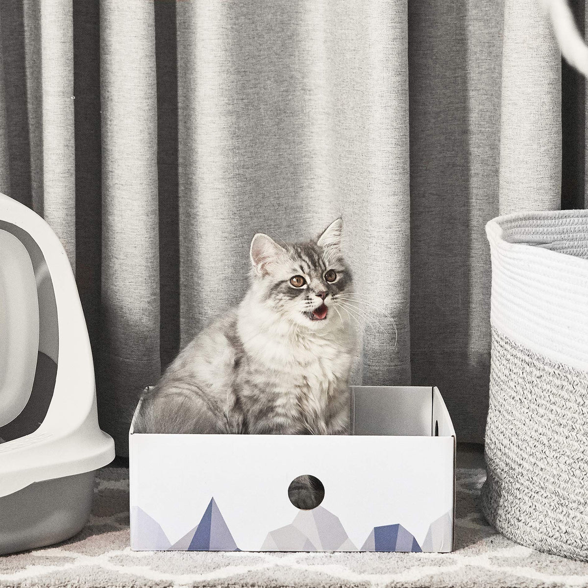 Cat Scratcher Lounge Box with Refill Pad – White