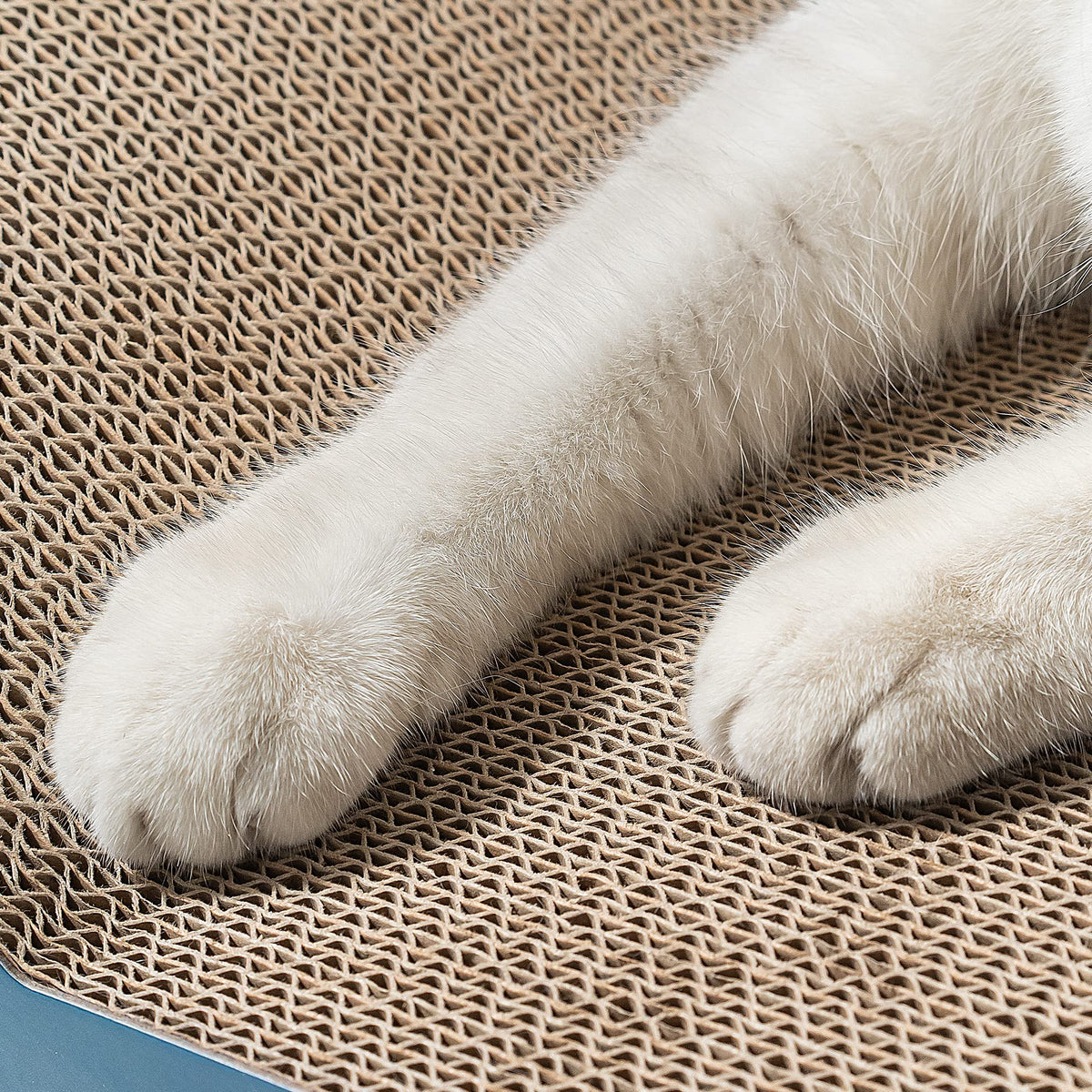 Reversible Cardboard Cat Scratcher Pad – Shark Texture, Large