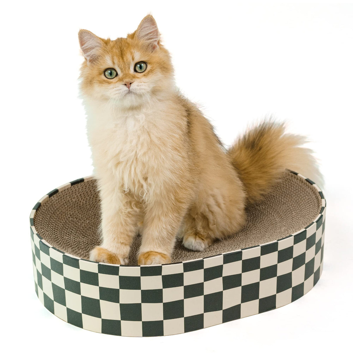 Round Cardboard Cat Scratcher Lounge Bowl