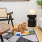Round Cardboard Cat Scratcher Lounge Bowl