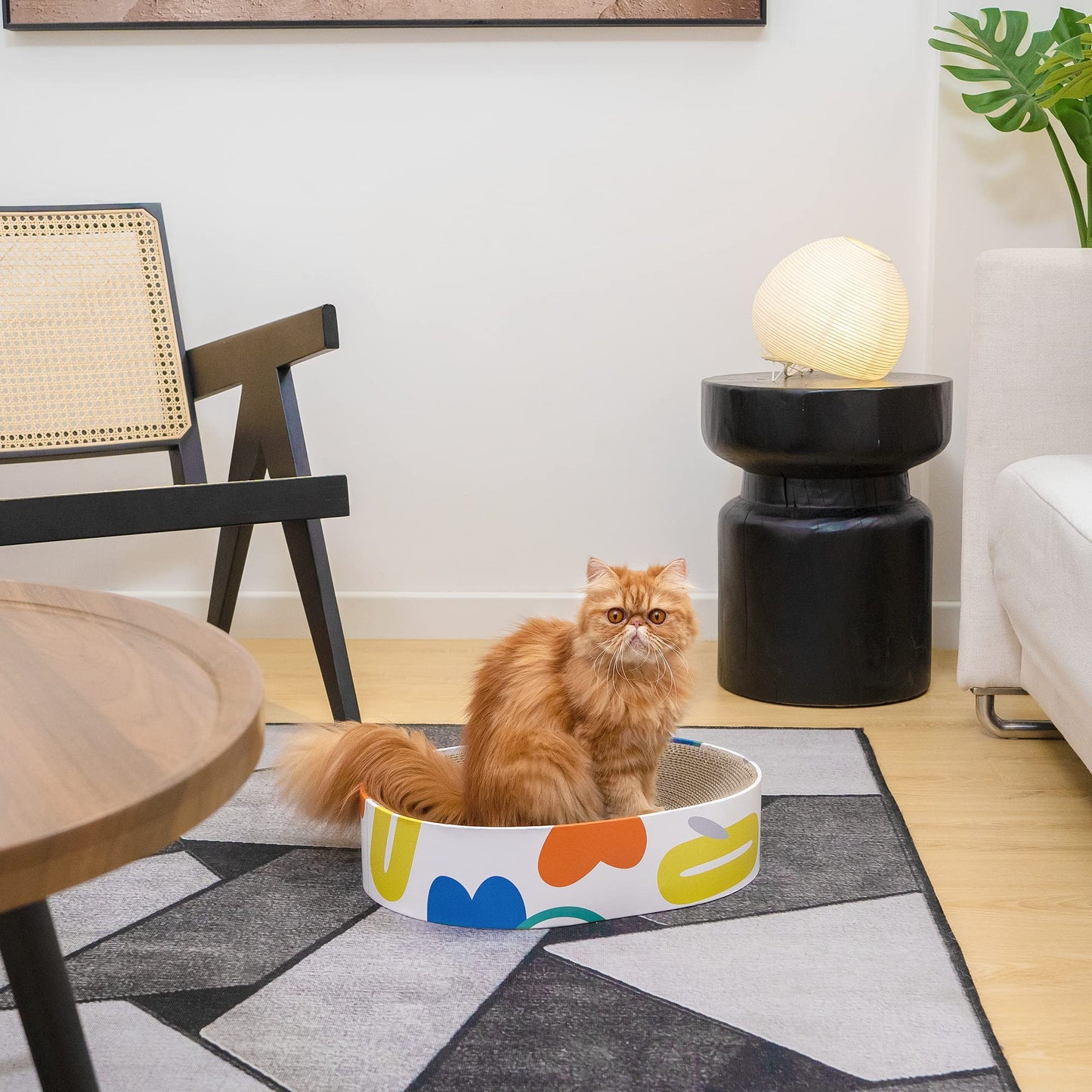Round Cardboard Cat Scratcher Lounge Bowl
