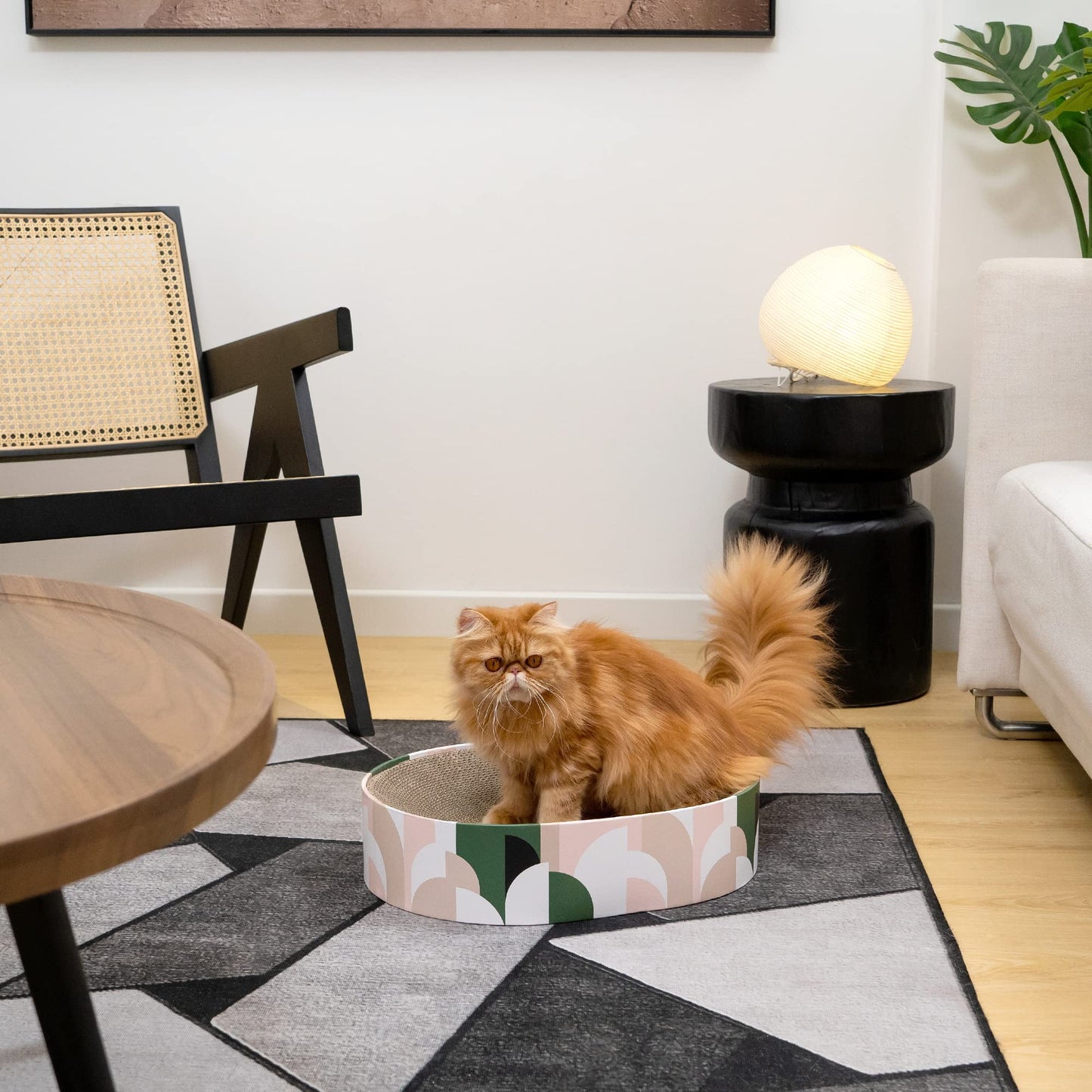Round Cardboard Cat Scratcher Lounge Bowl