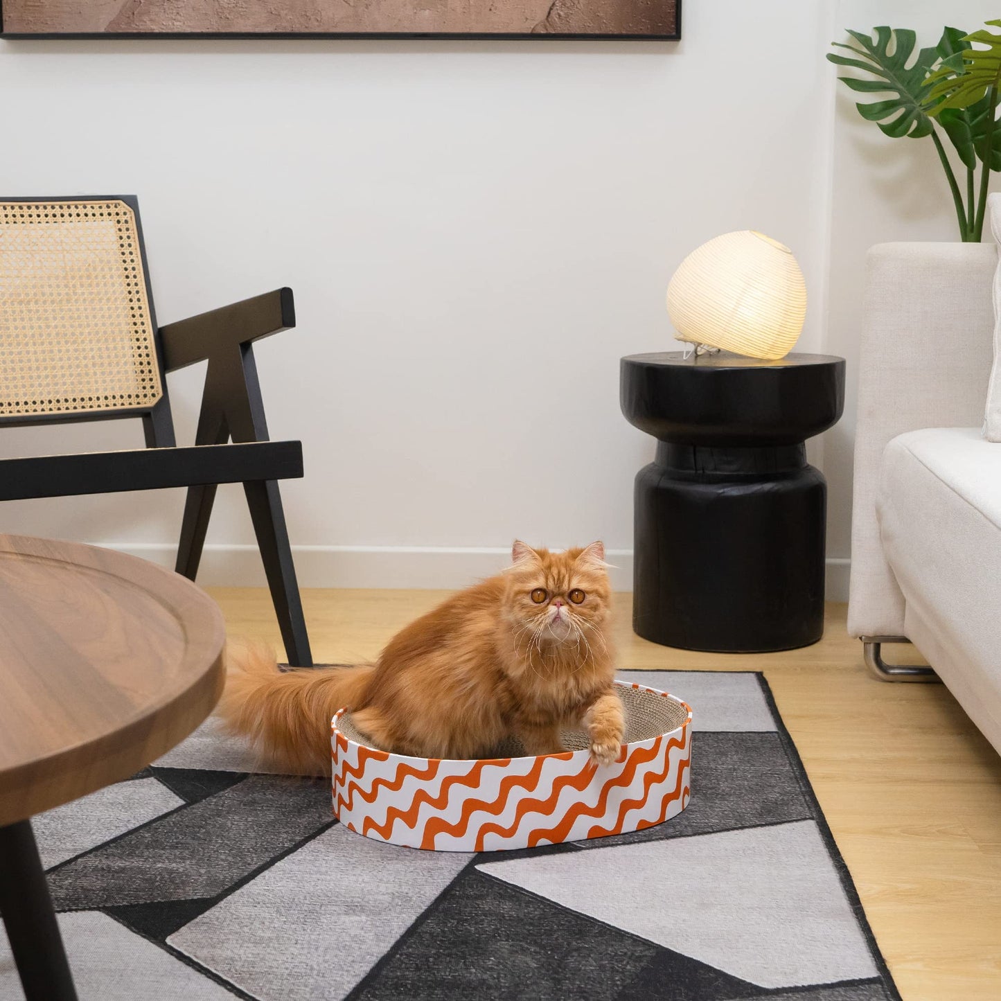 Round Cardboard Cat Scratcher Lounge Bowl
