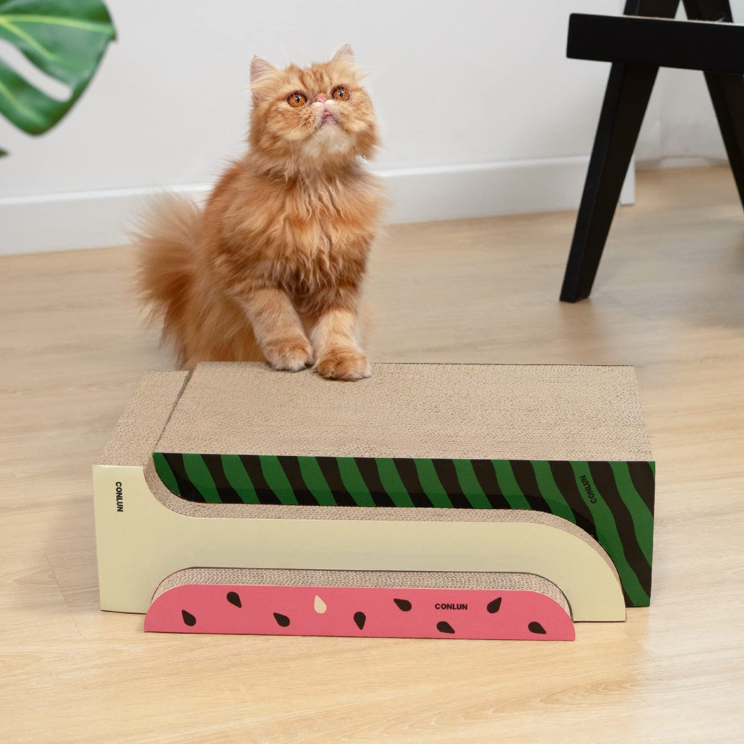 3-in-1 Cat Scratcher Pad Set with Catnip – Curve