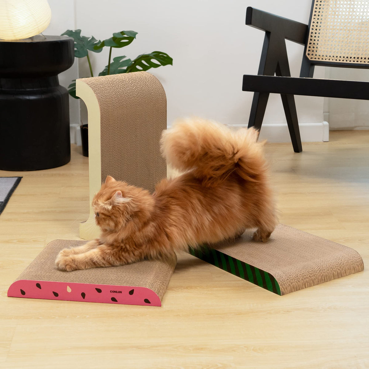 3-in-1 Cat Scratcher Pad Set with Catnip – Curve