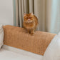 Natural Sisal Cat Scratcher Mat – Brown