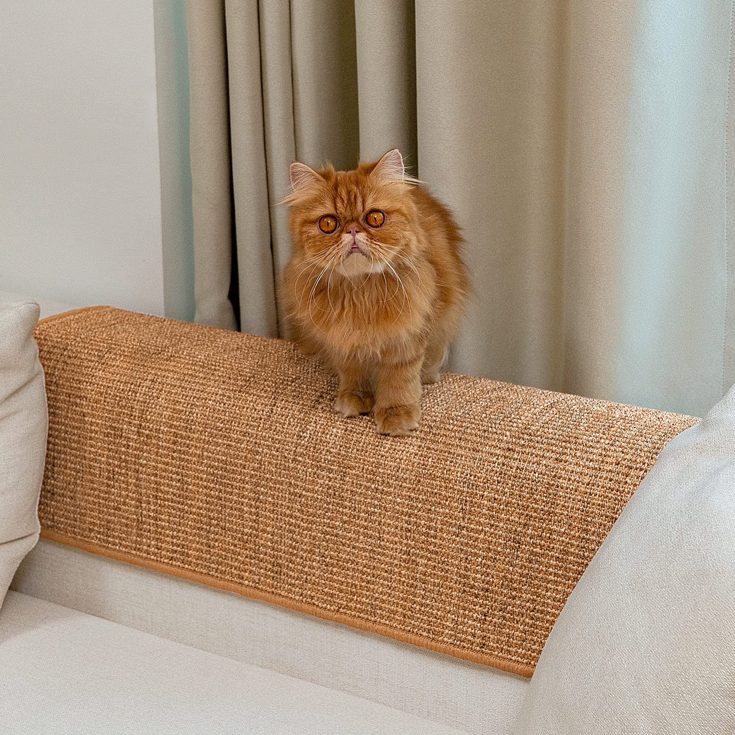 Natural Sisal Cat Scratcher Mat – Brown