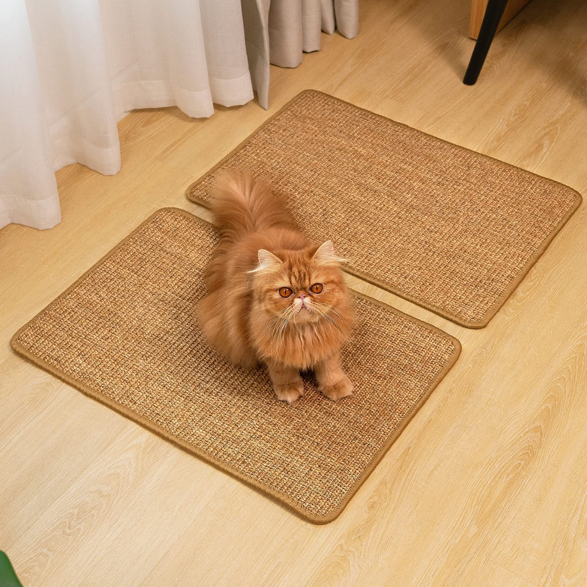 Natural Sisal Cat Scratcher Mat – Brown