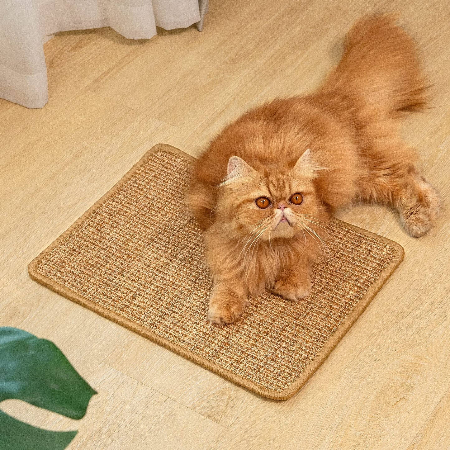Natural Sisal Cat Scratcher Mat – Brown