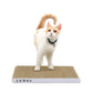 Reversible Cardboard Cat Scratcher Pad – White, Medium
