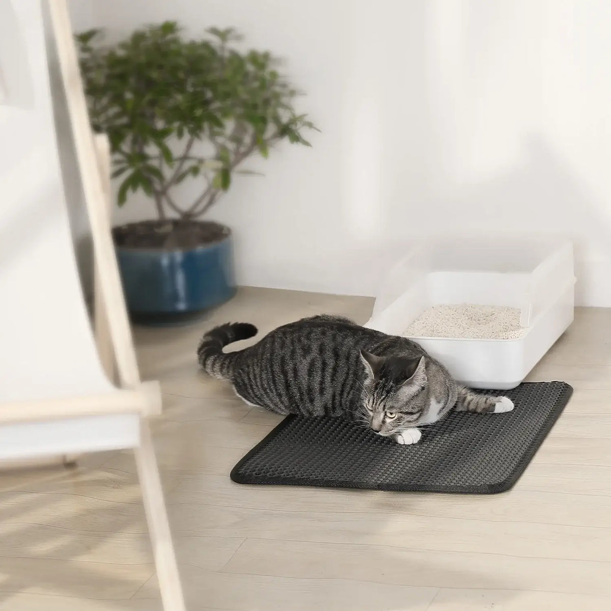 Honeycomb Double-Layer Cat Litter Trapping Mat – 23" x 17"