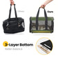 Collapsible Soft-Sided Pet Carrier – Large Dog