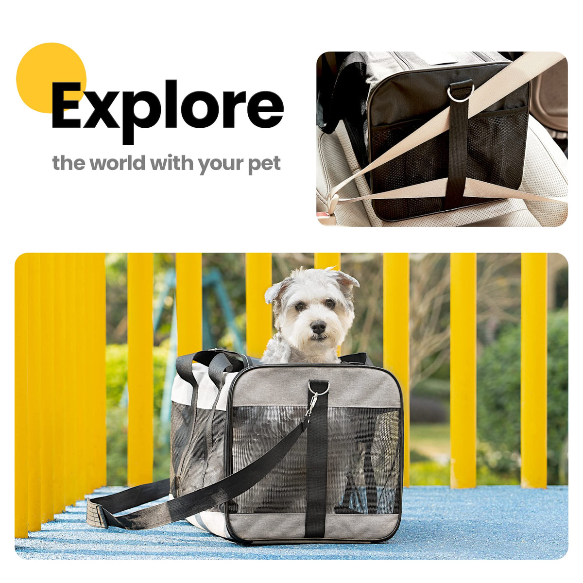 Collapsible Soft-Sided Pet Carrier – Large Dog