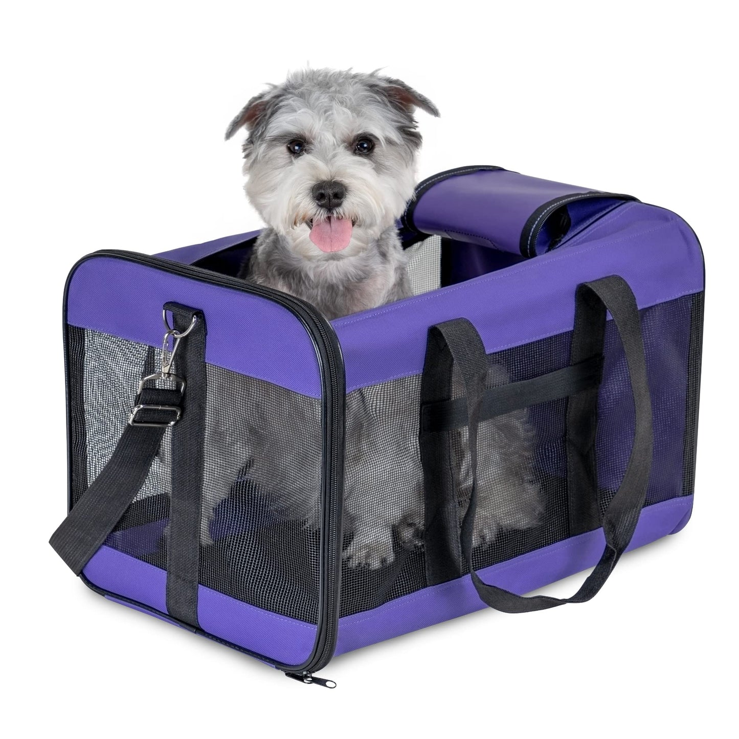 Collapsible Soft-Sided Pet Carrier – Large Dog