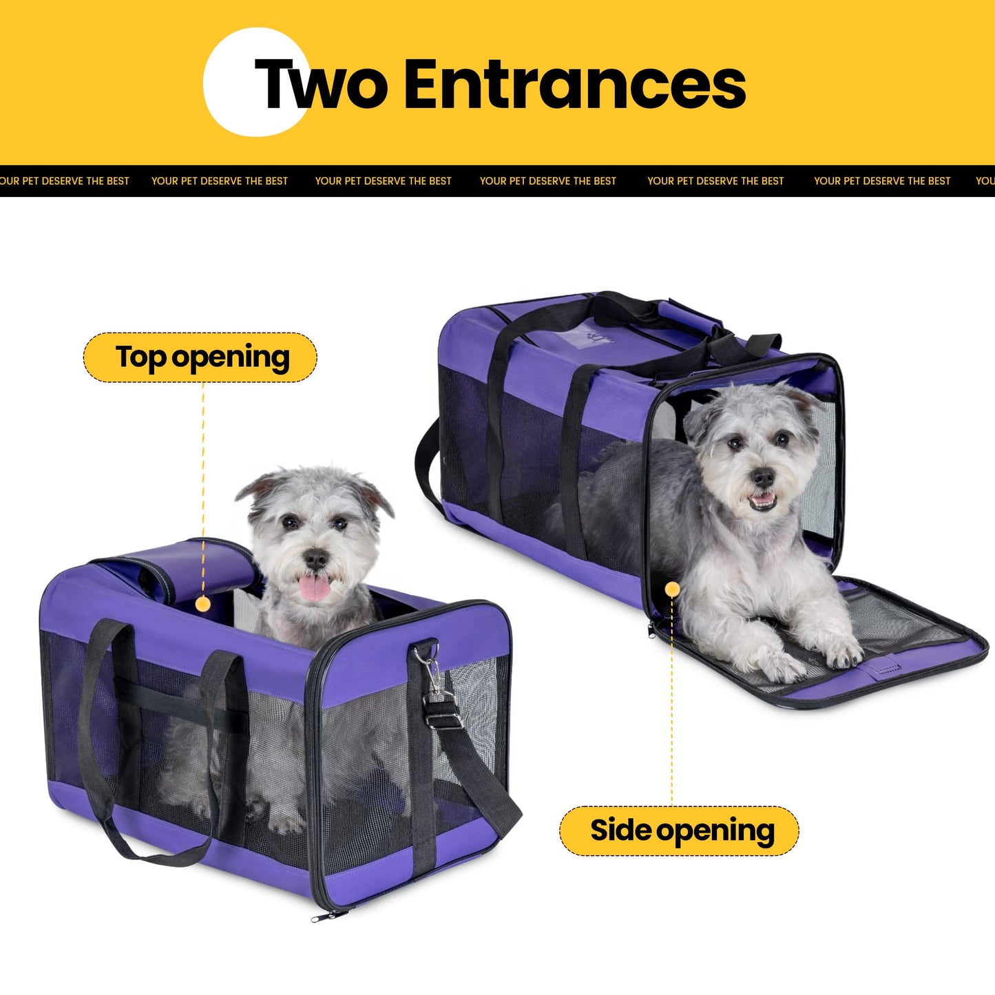 Collapsible Soft-Sided Pet Carrier – Large Dog