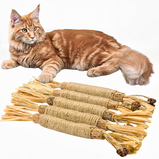 Cat resting beside natural silvervine dental sticks for cats