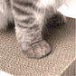 Reversible Cardboard Cat Scratcher Pad – Black, Large